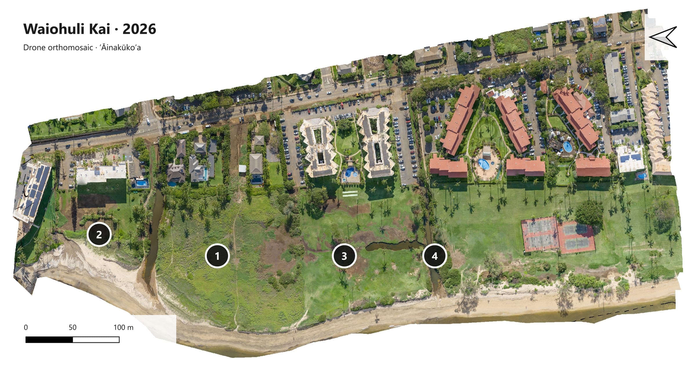 2026 drone orthomosaic of Waiohuli Kai, turned so north points left, with numbers 1 to 4 marking the four places