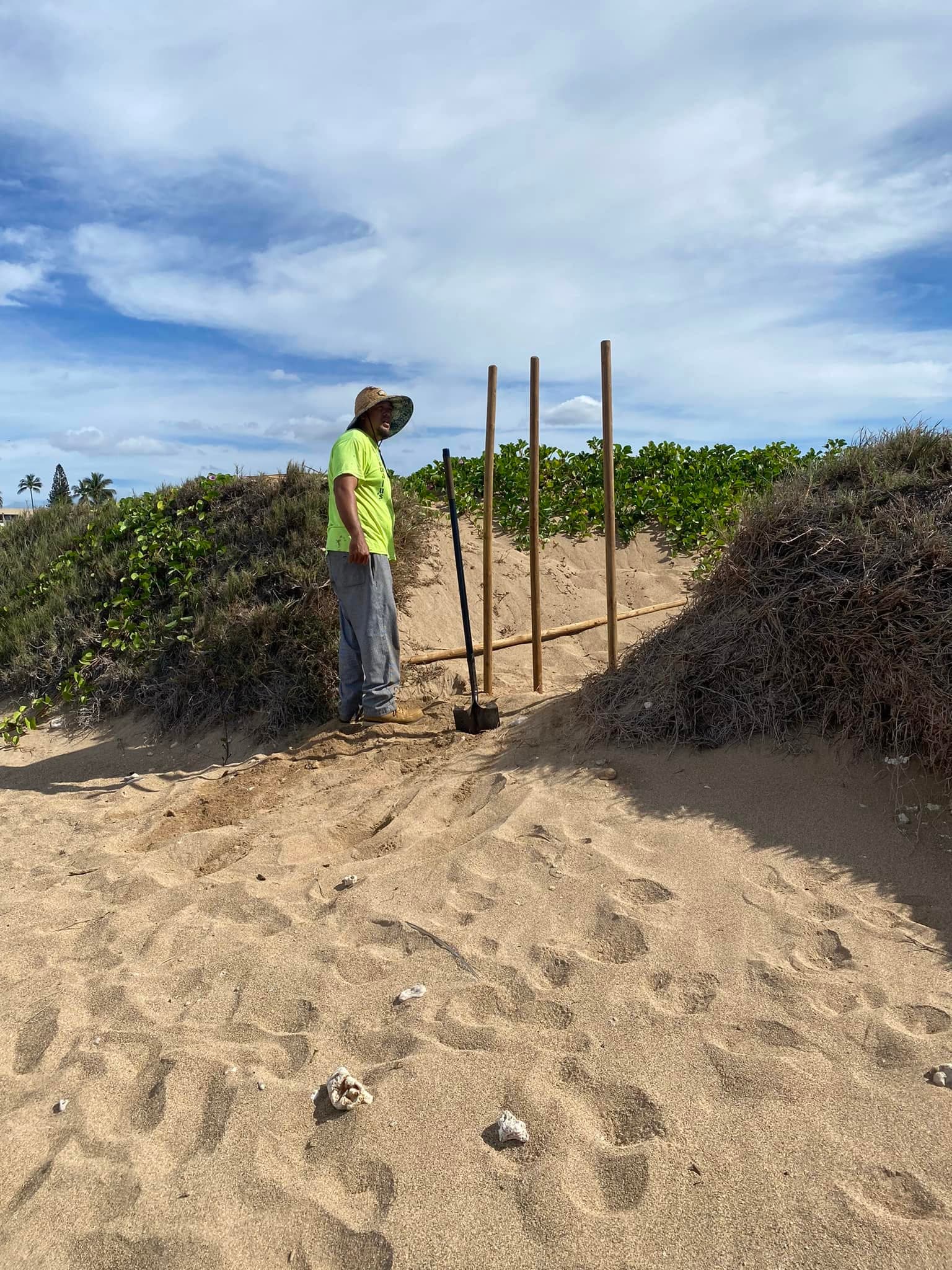 Rebuilding Dune Structures: The Power of Native Ground Cover