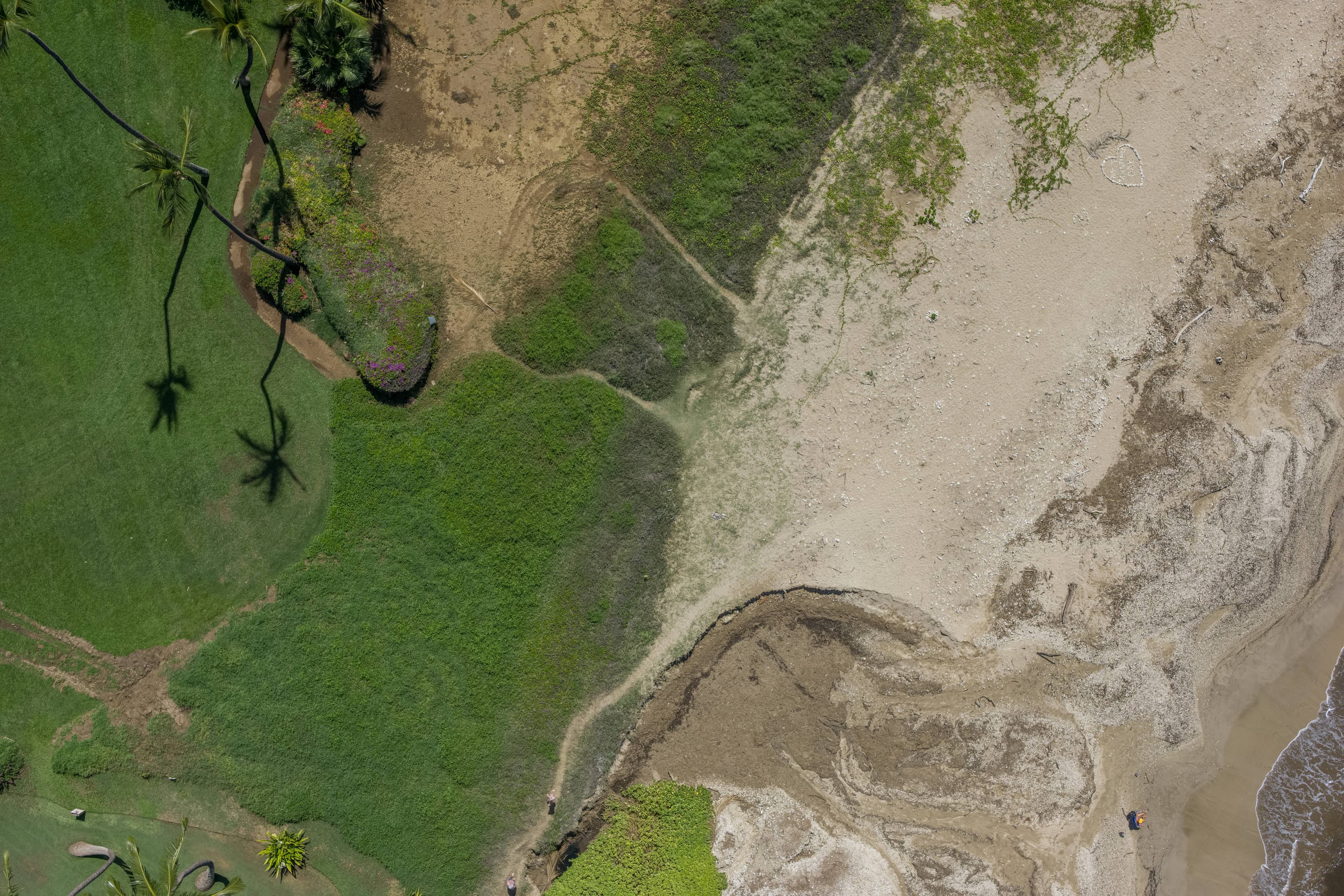 Drone view of the Koa Lagoon channel bending through green wetland toward the sand and sea