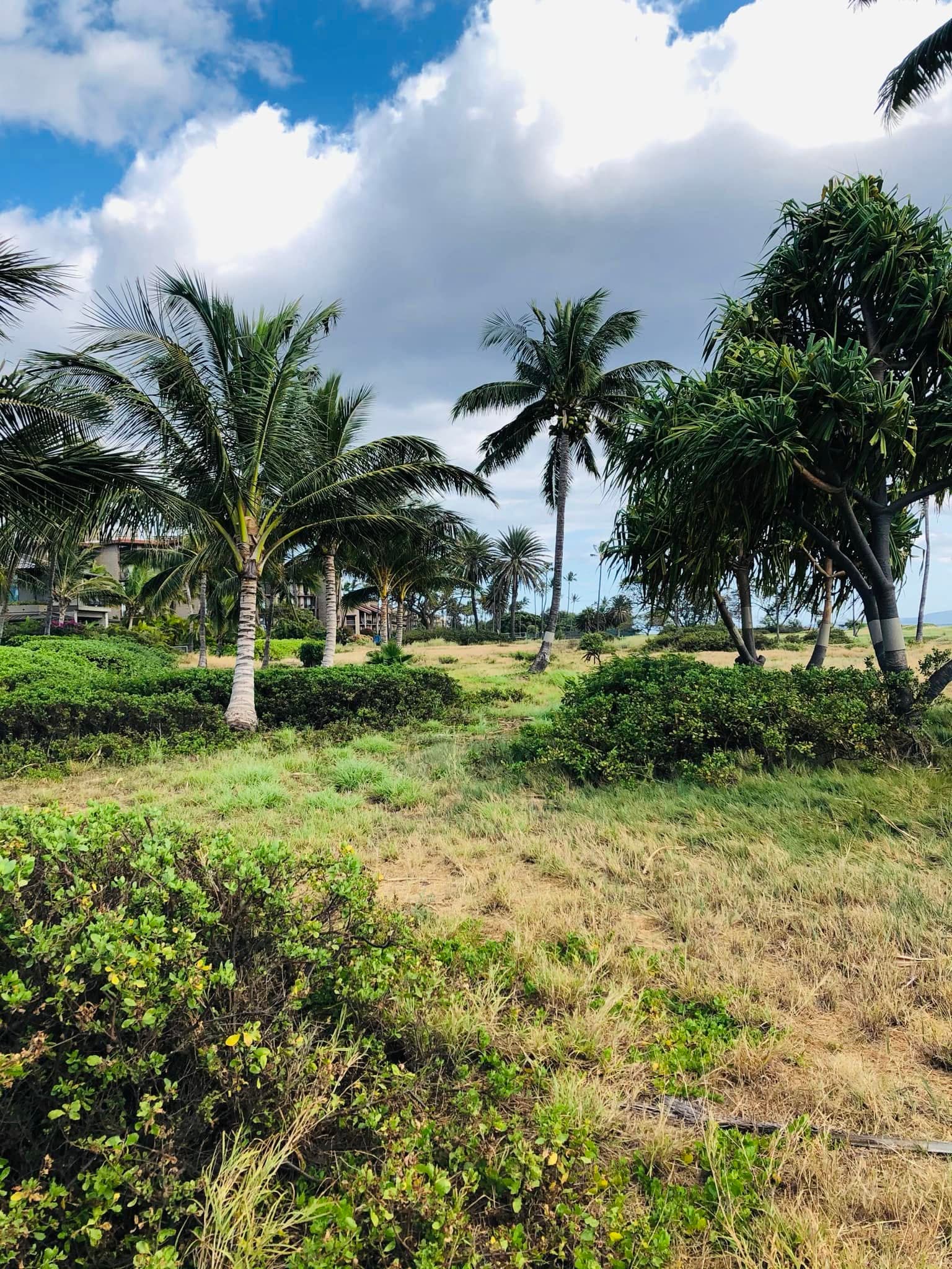Adjacent Landowners