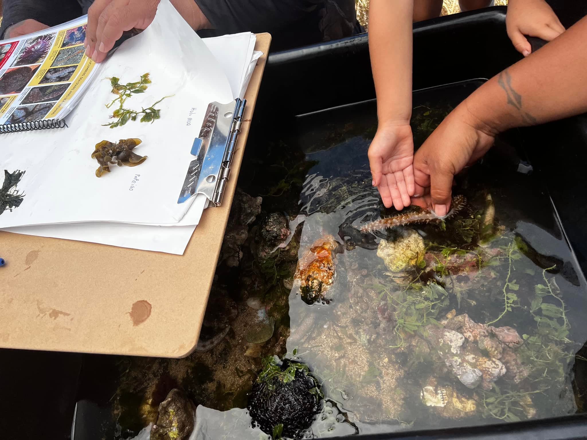 Protecting our living systems