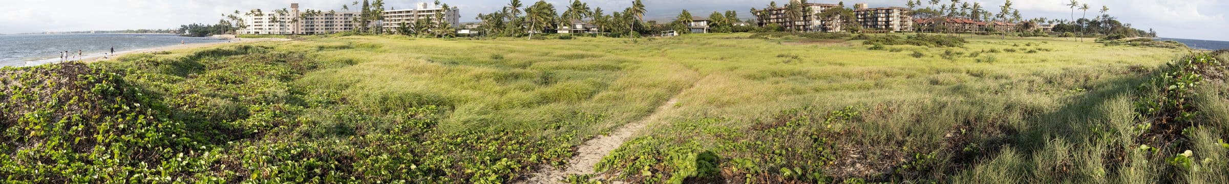 Panorama of the Waiohuli Kai preserve: dunes and native groundcover with the ocean to one side and Kīhei behind