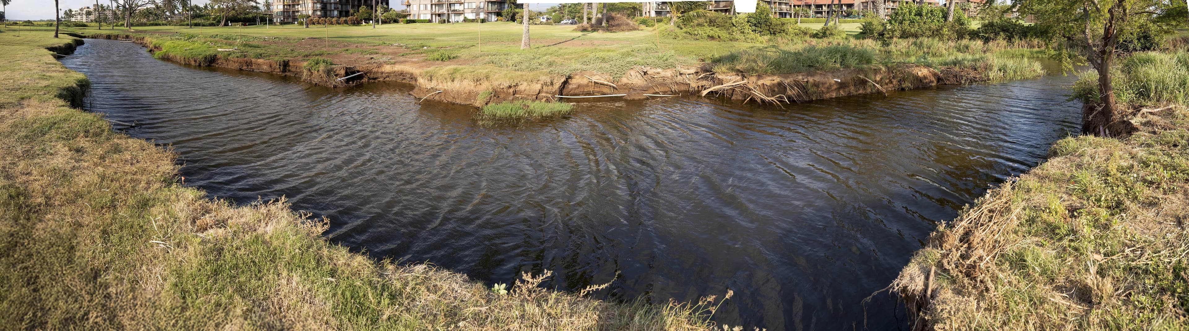 Panorama of the Waipuilani finger muliwai after the storm, dark water bending between freshly cut banks