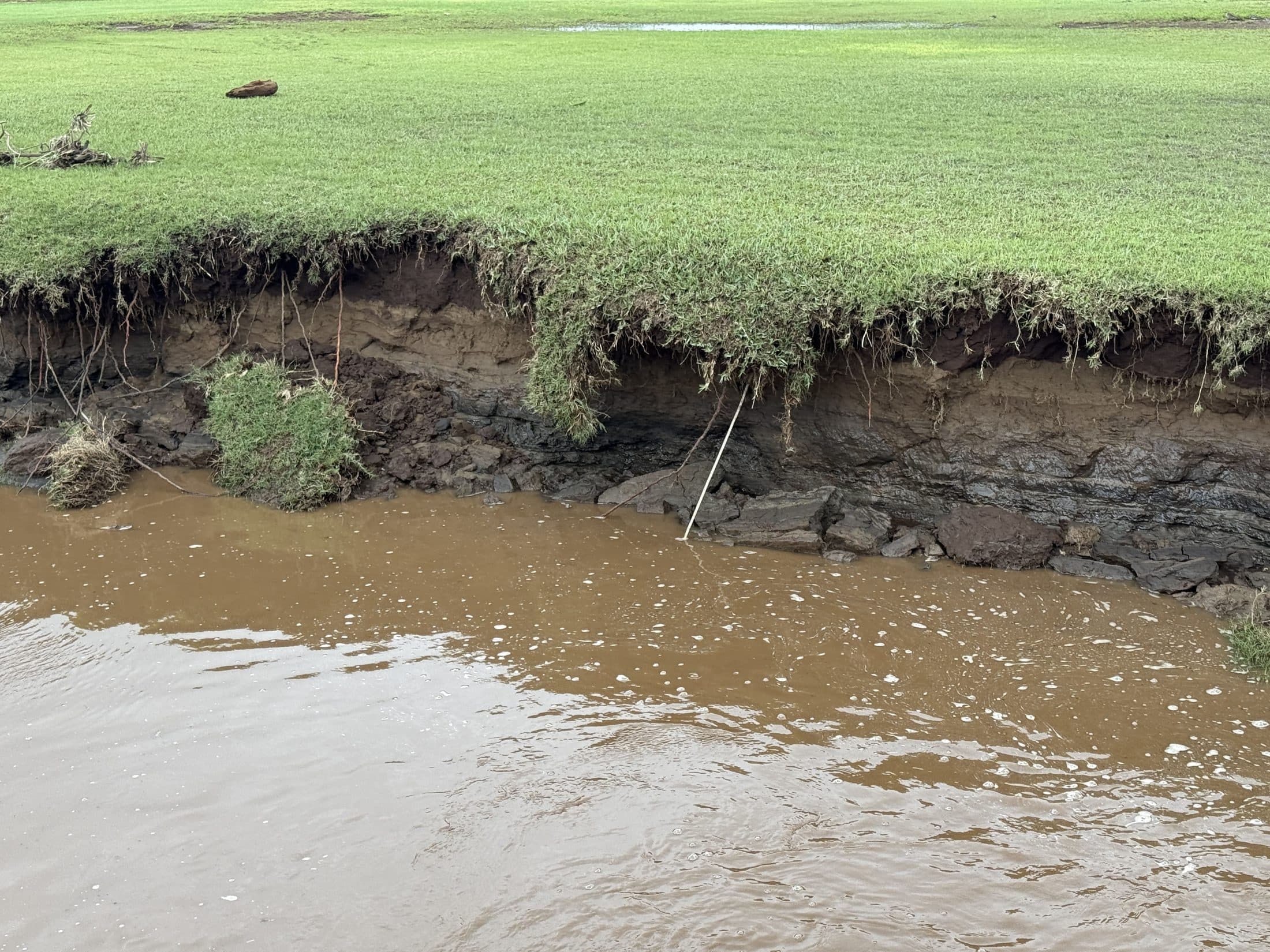Cut bank with exposed soil layers above brown floodwater