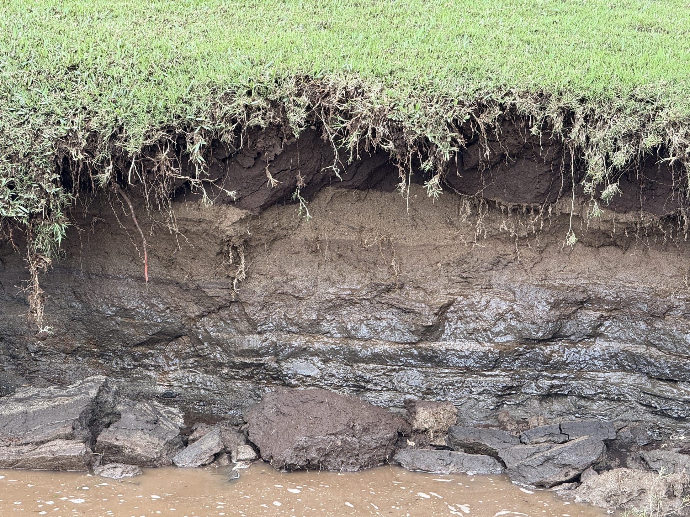 Close view of exposed soil strata in the cut bank
