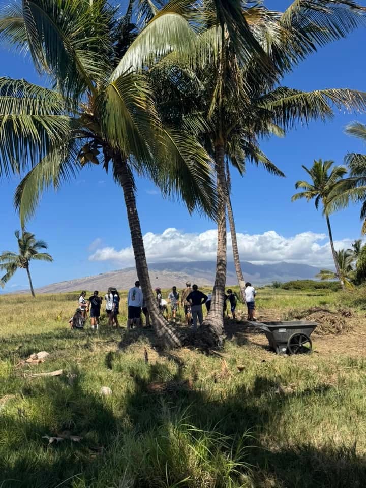 ʻĀina restoration: volunteers working the land