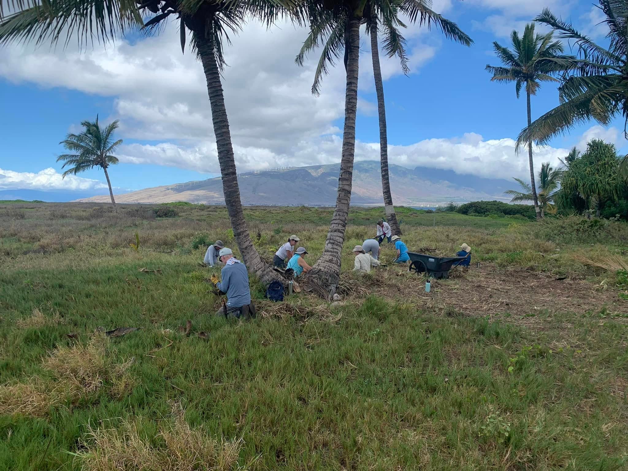 Community Planting